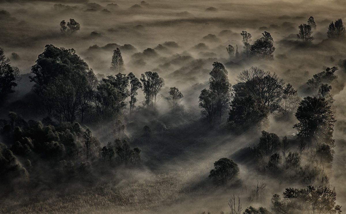 Fasci di Luce (dedicata a Gustave Dorè)