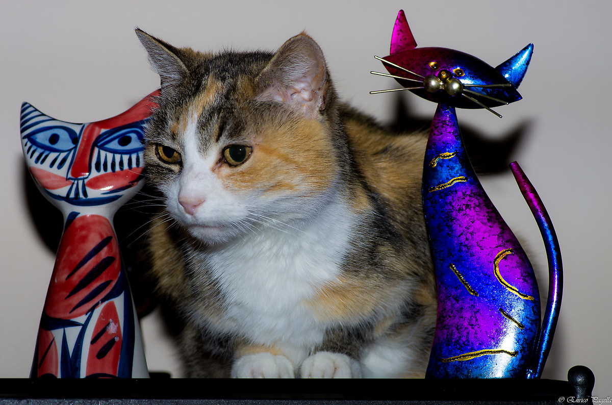 un originale in mezzo a due copie