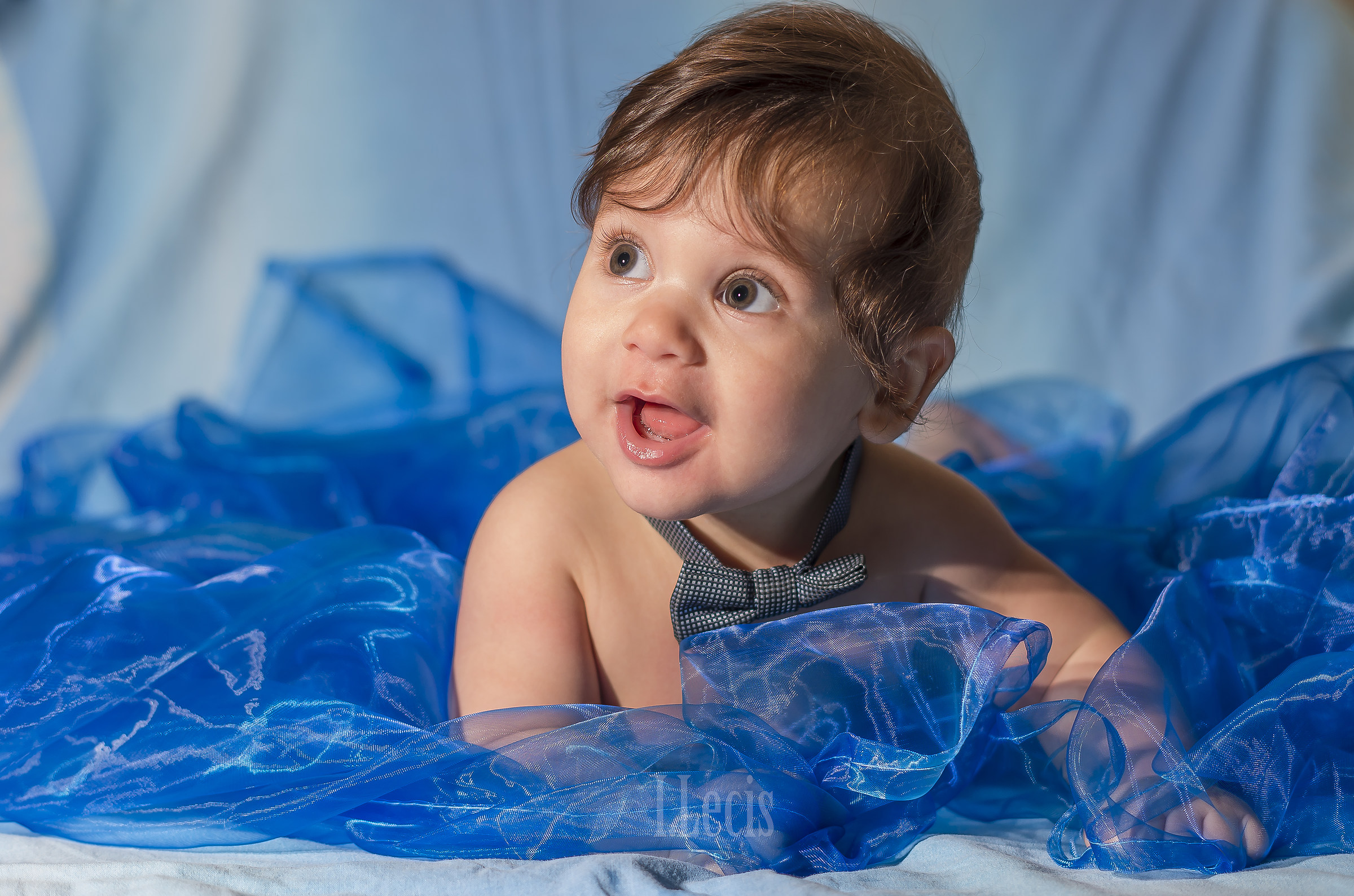 Il nido della cicogna