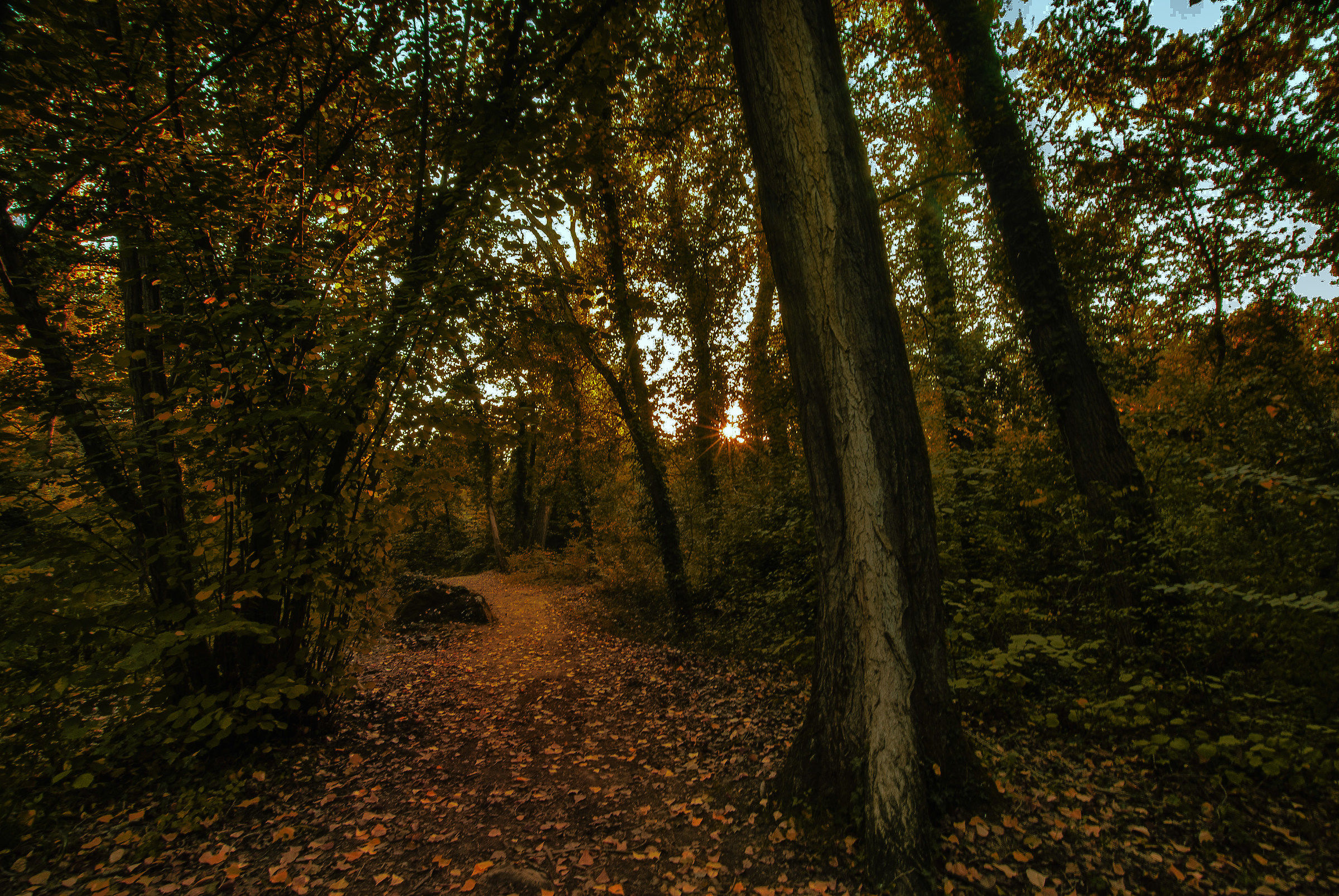 Sentiero al Tramonto