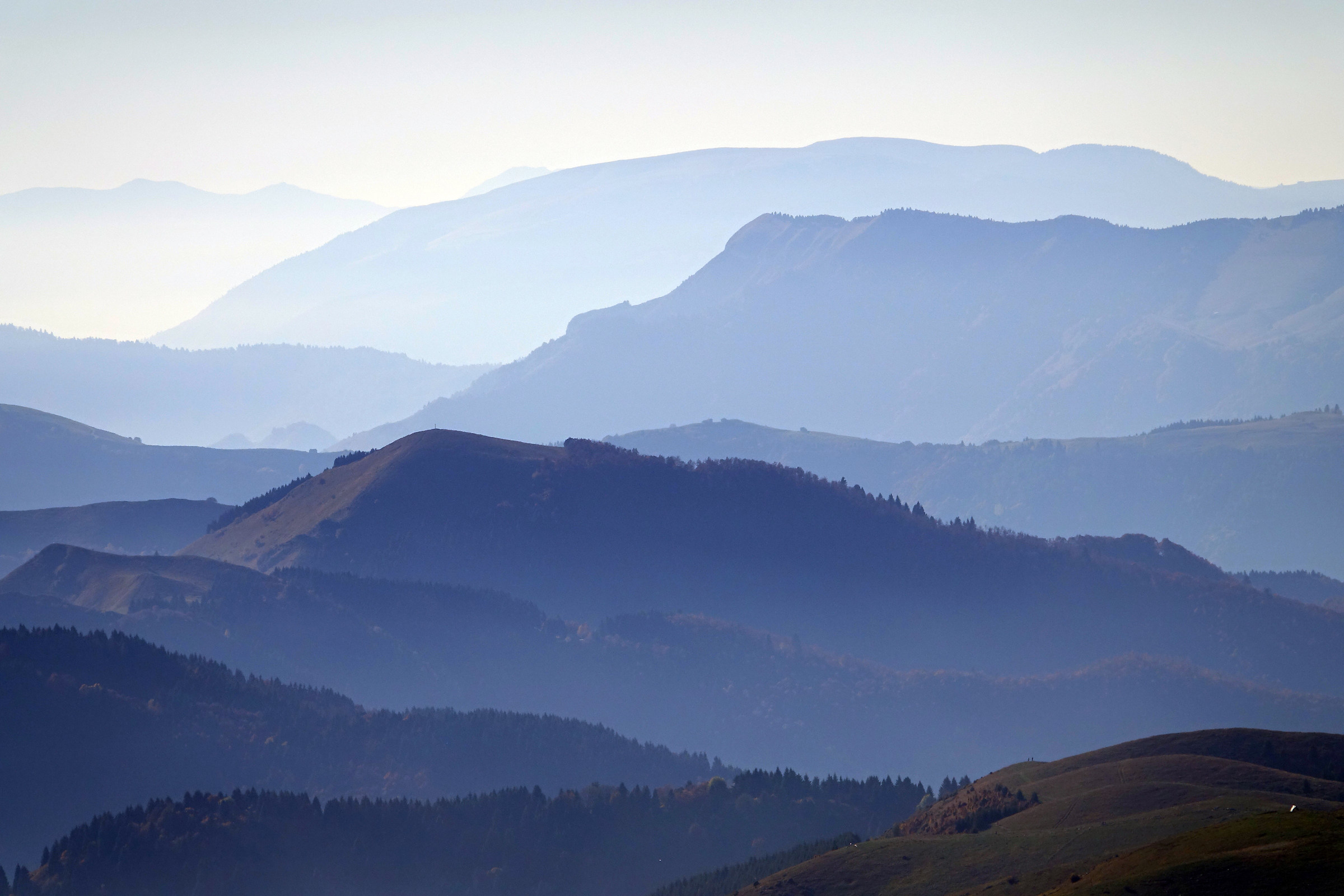 Trevigian precipices ...