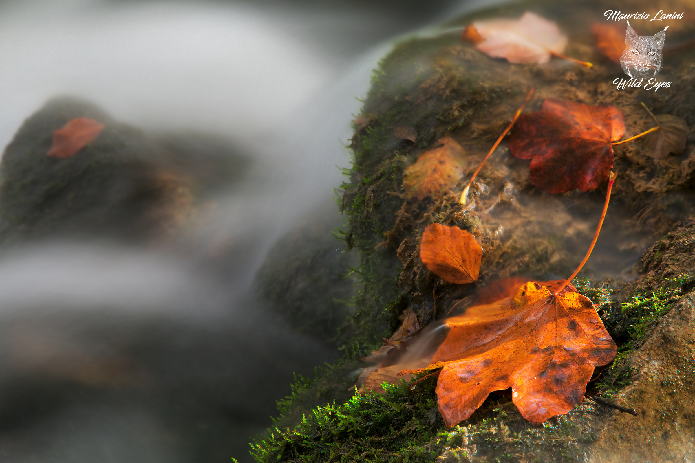 Plitvice Lakes National Park, Plitvice Lakes