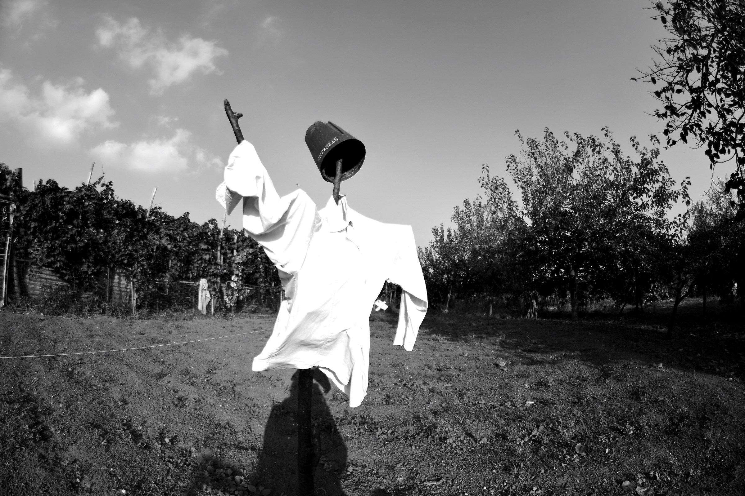 Socialismo o Muerte!