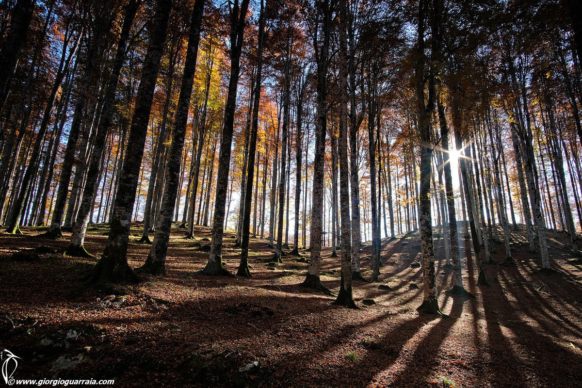 Autunno in Cansilgio