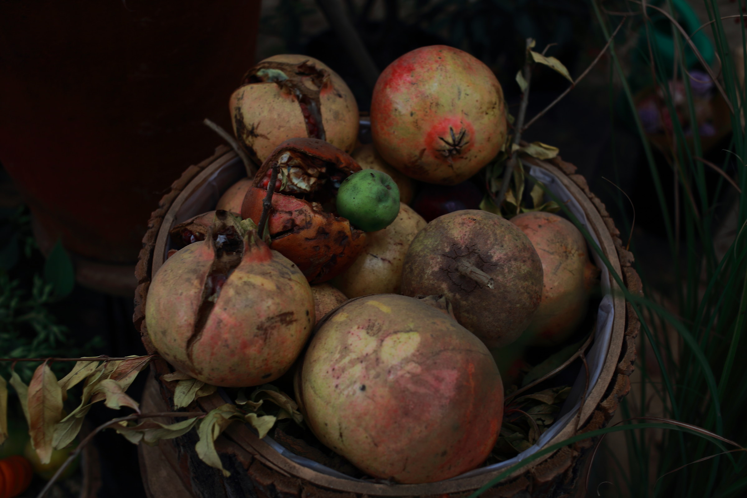 Autumn in the nature