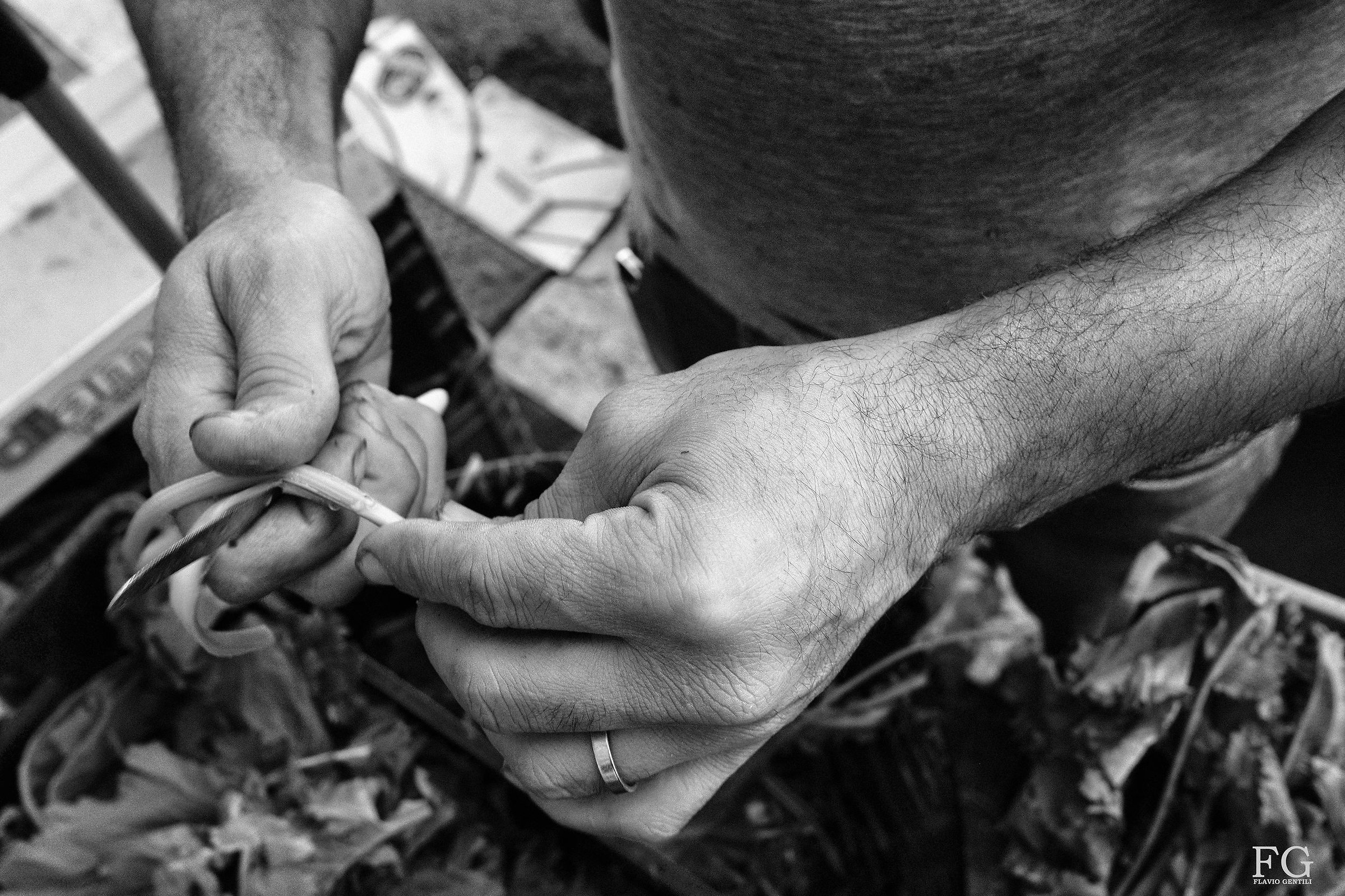 Le mani che lavorano
