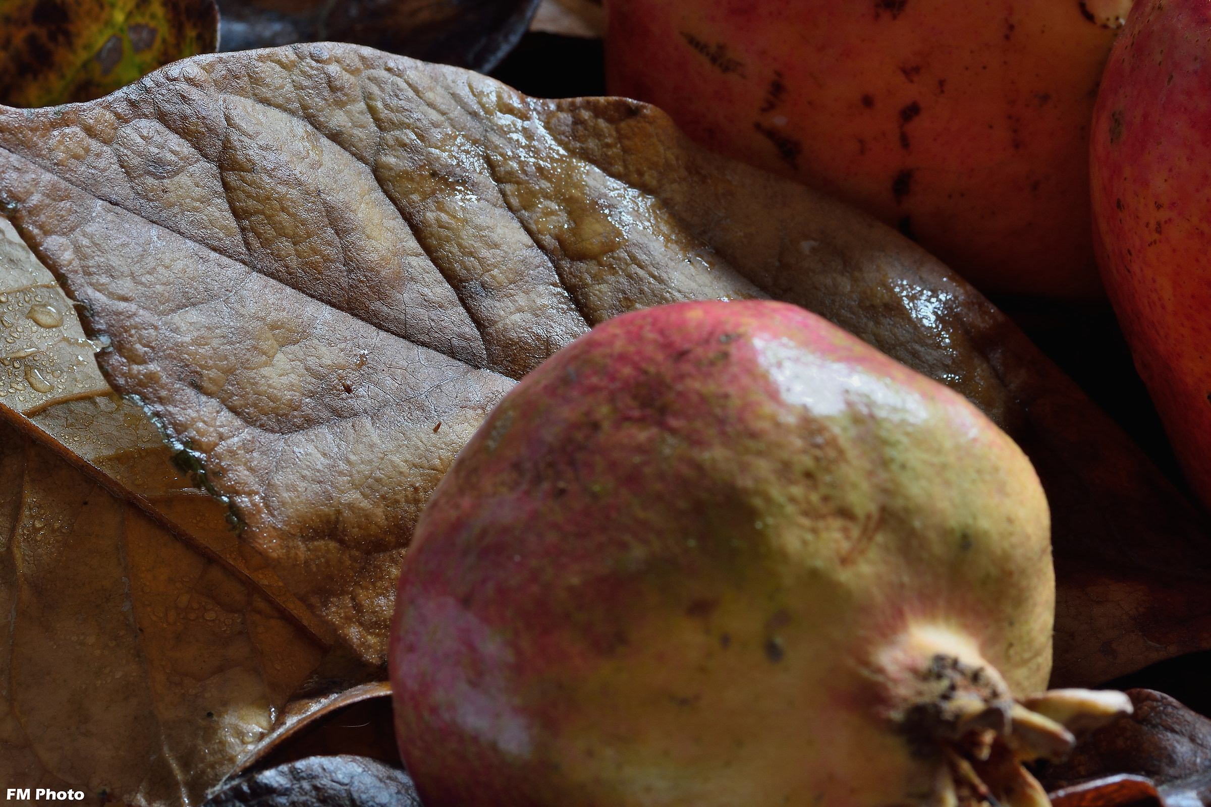 Autunno dai mille colori