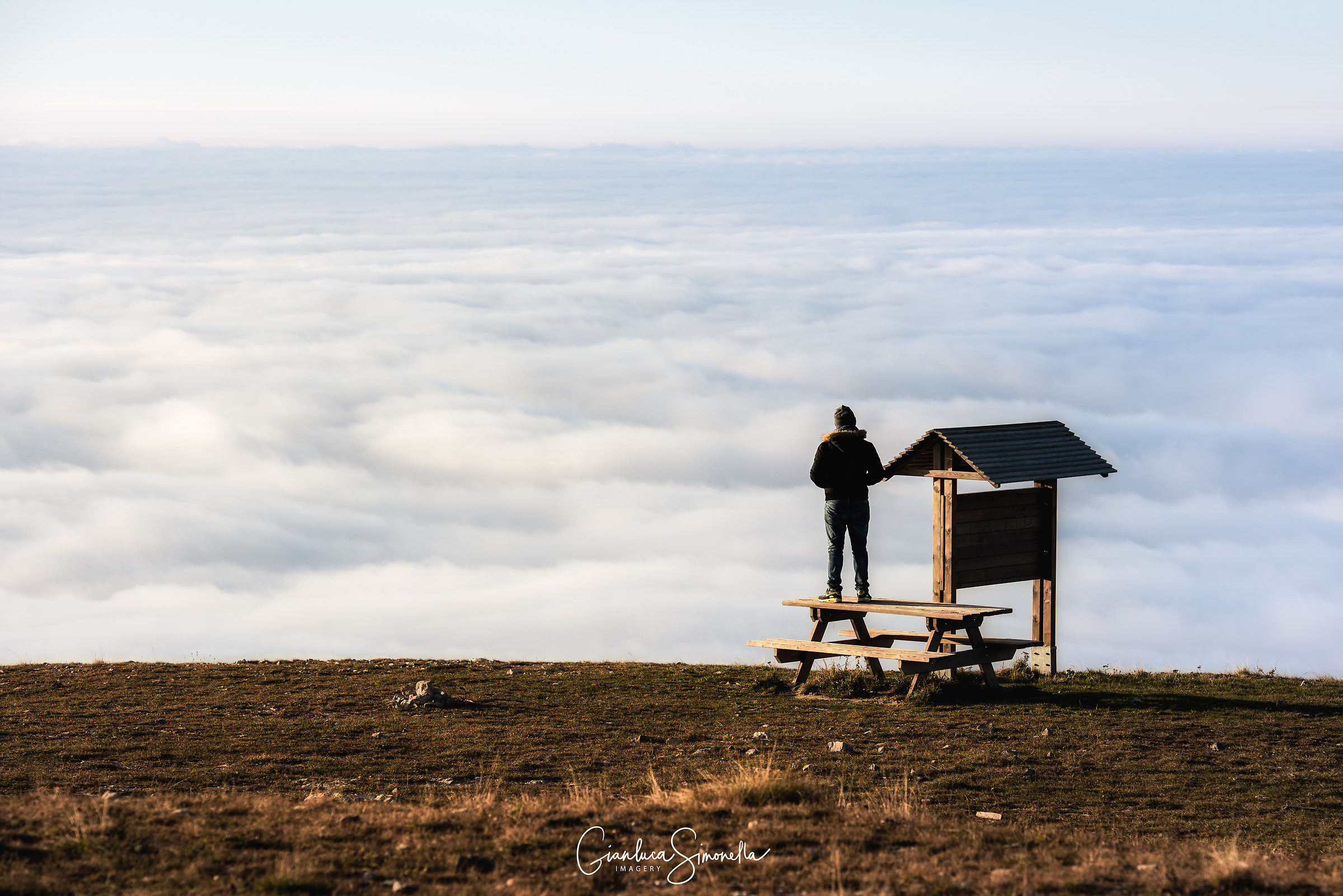 With its head in the clouds