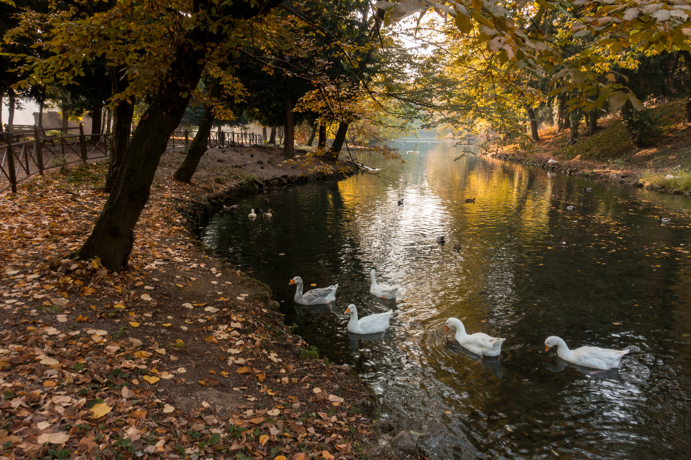 tutti in fila! ... come on..