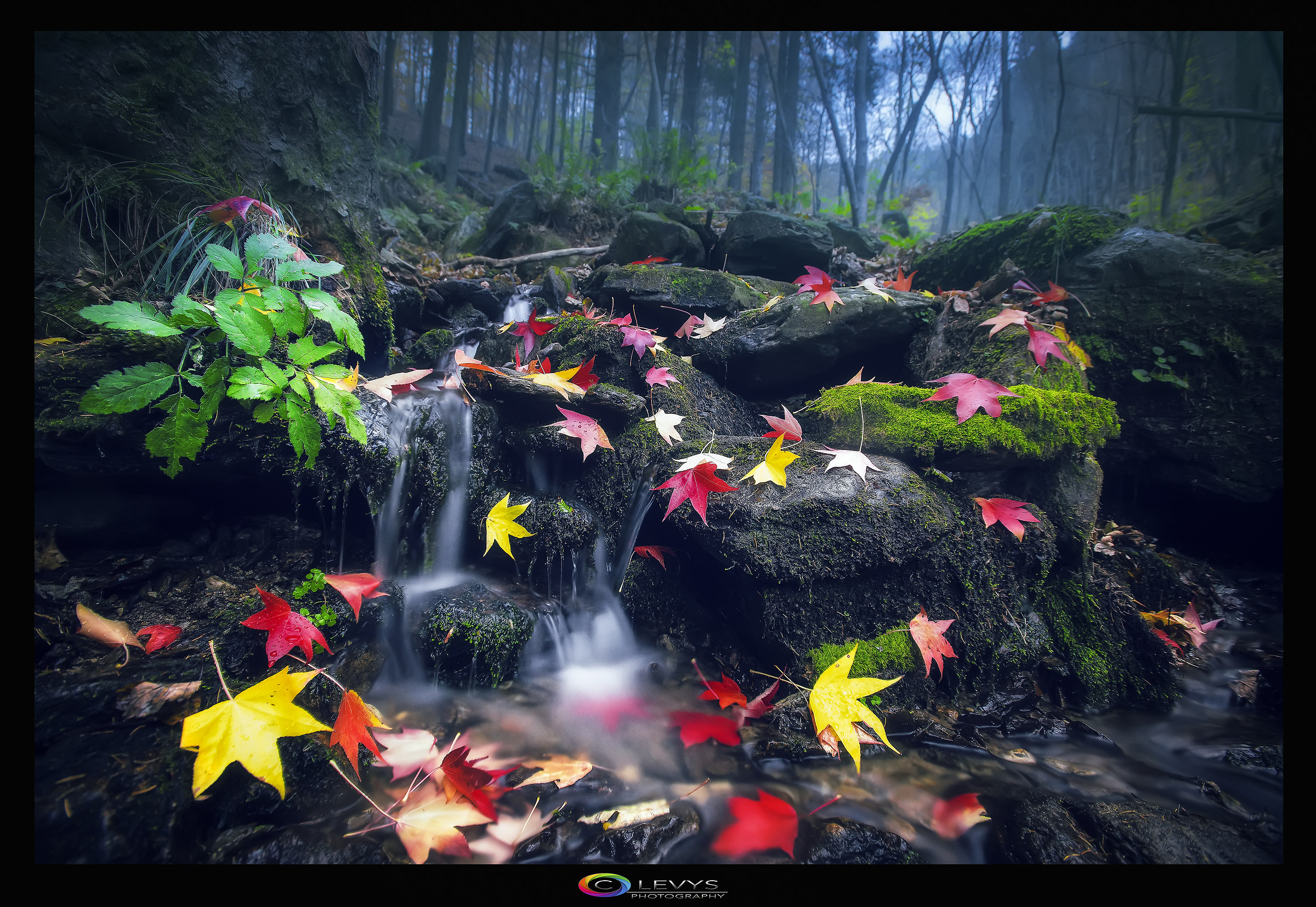 Autumn colors always give you a new emotion