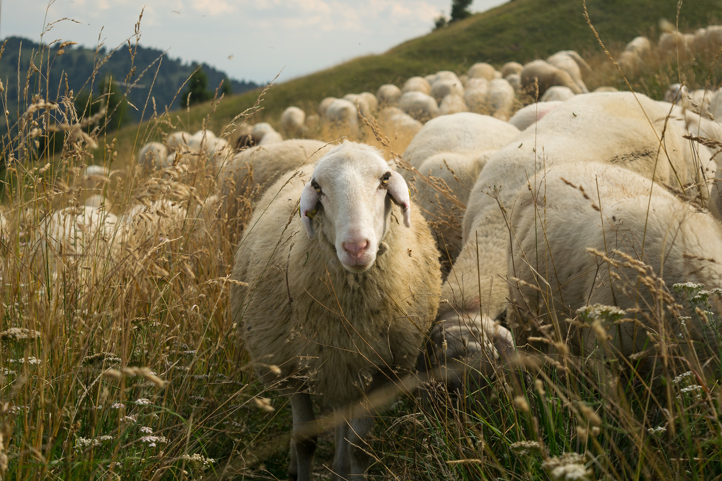 Hey you ... what do you have to watch ..