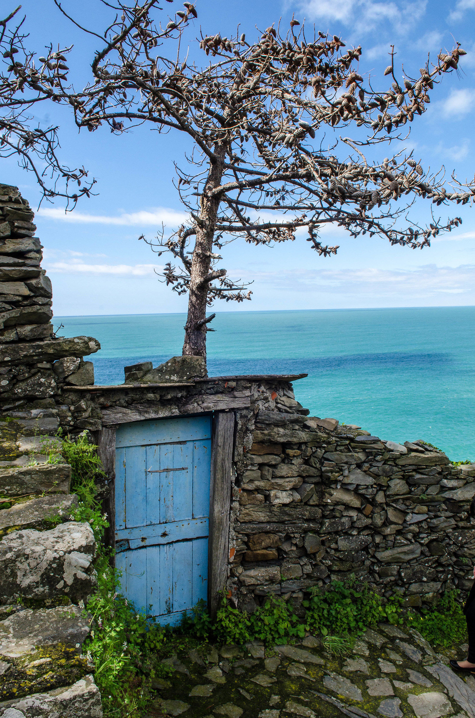 I see a better glimpse