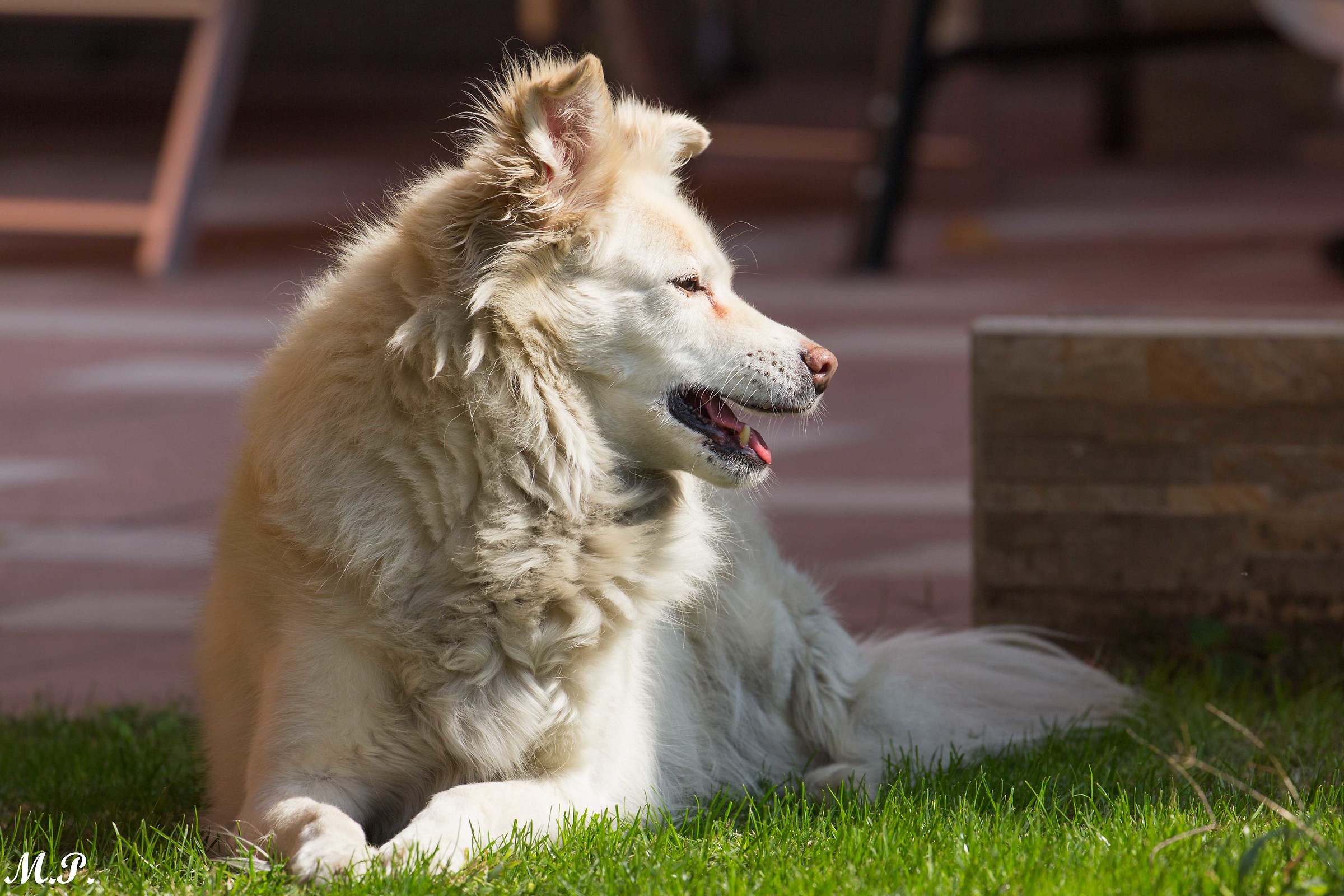 Duna, 14 years old and not hear them ...