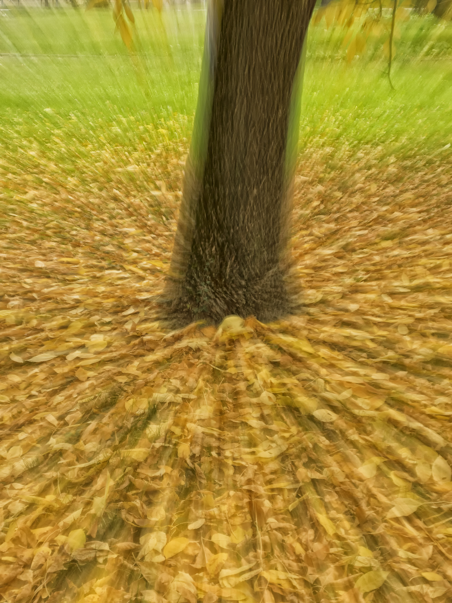 Esplosione d'autunno