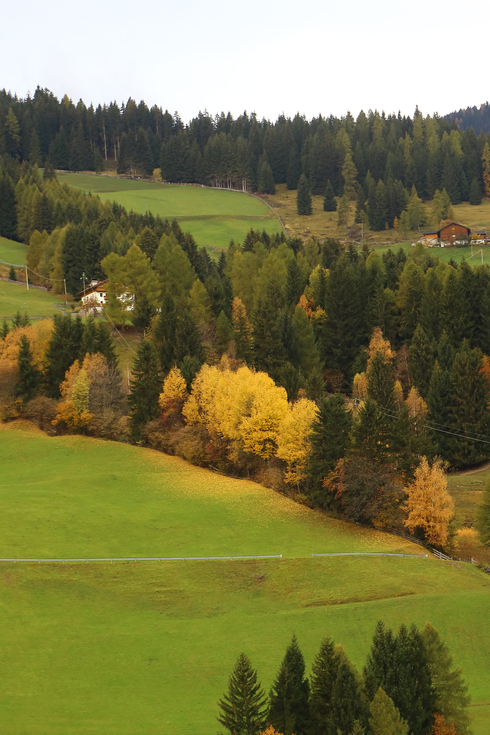 Oggi è veramente autunno!!!
