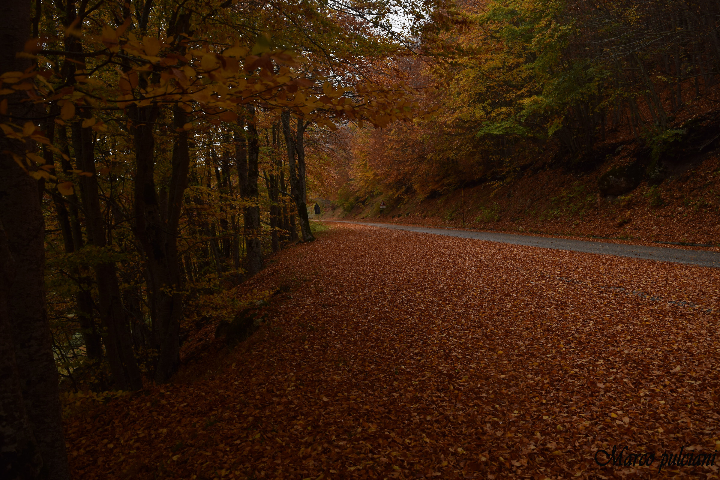 Parco nazionale d'abruzzo