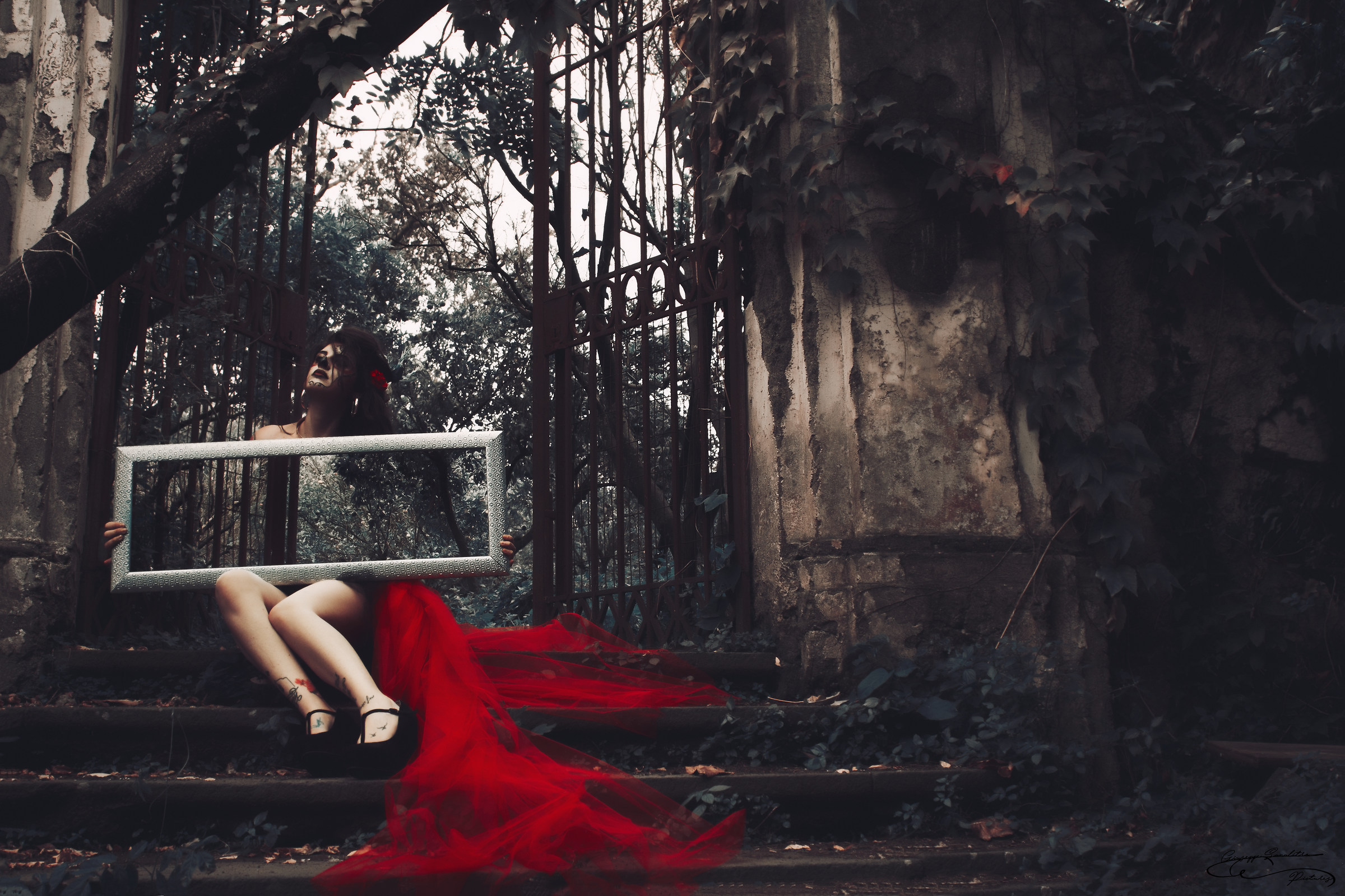 the enchanted forest