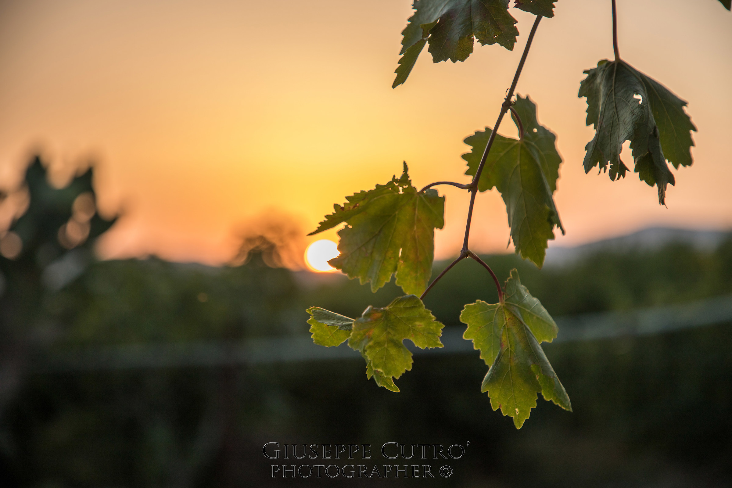 The sun behind the hill