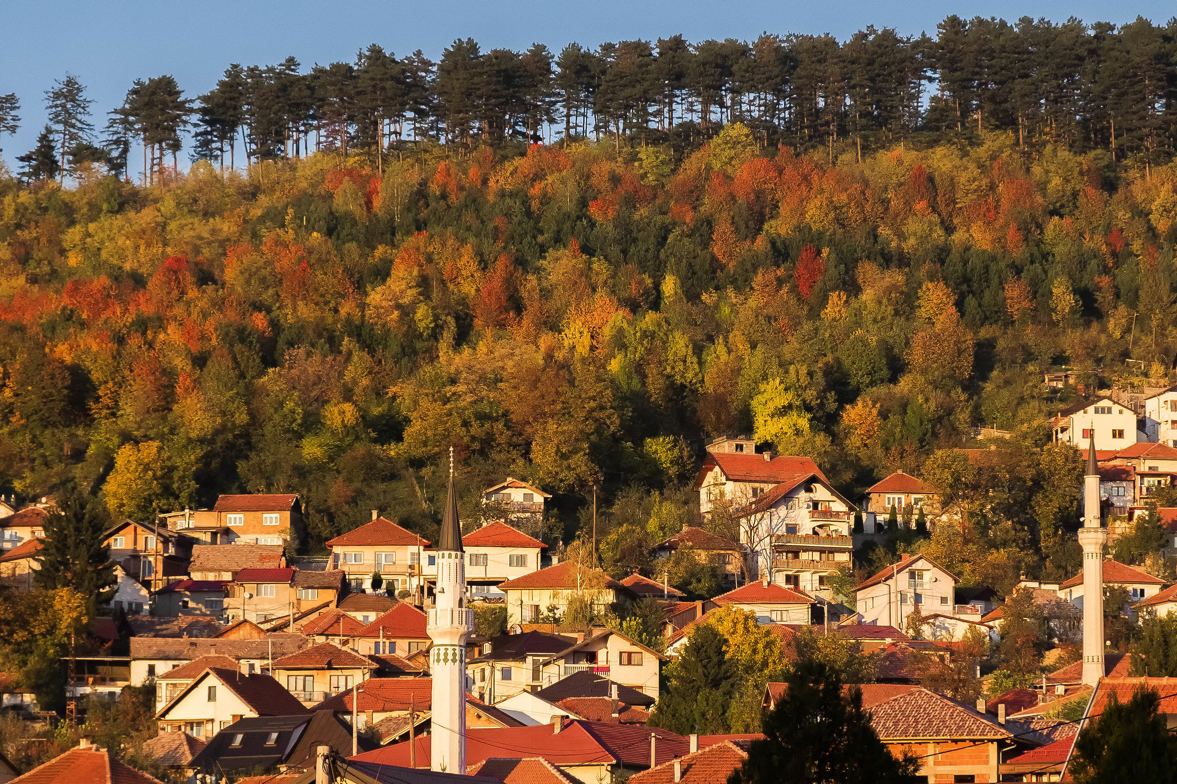 Play me a song to set me free - Bosnia 2017