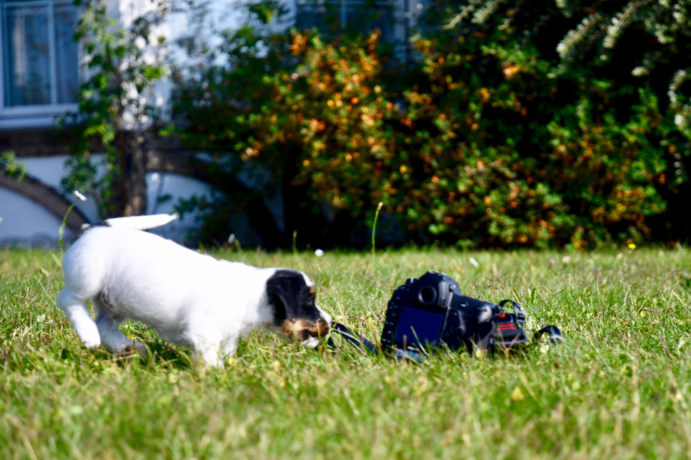 The charm of technology