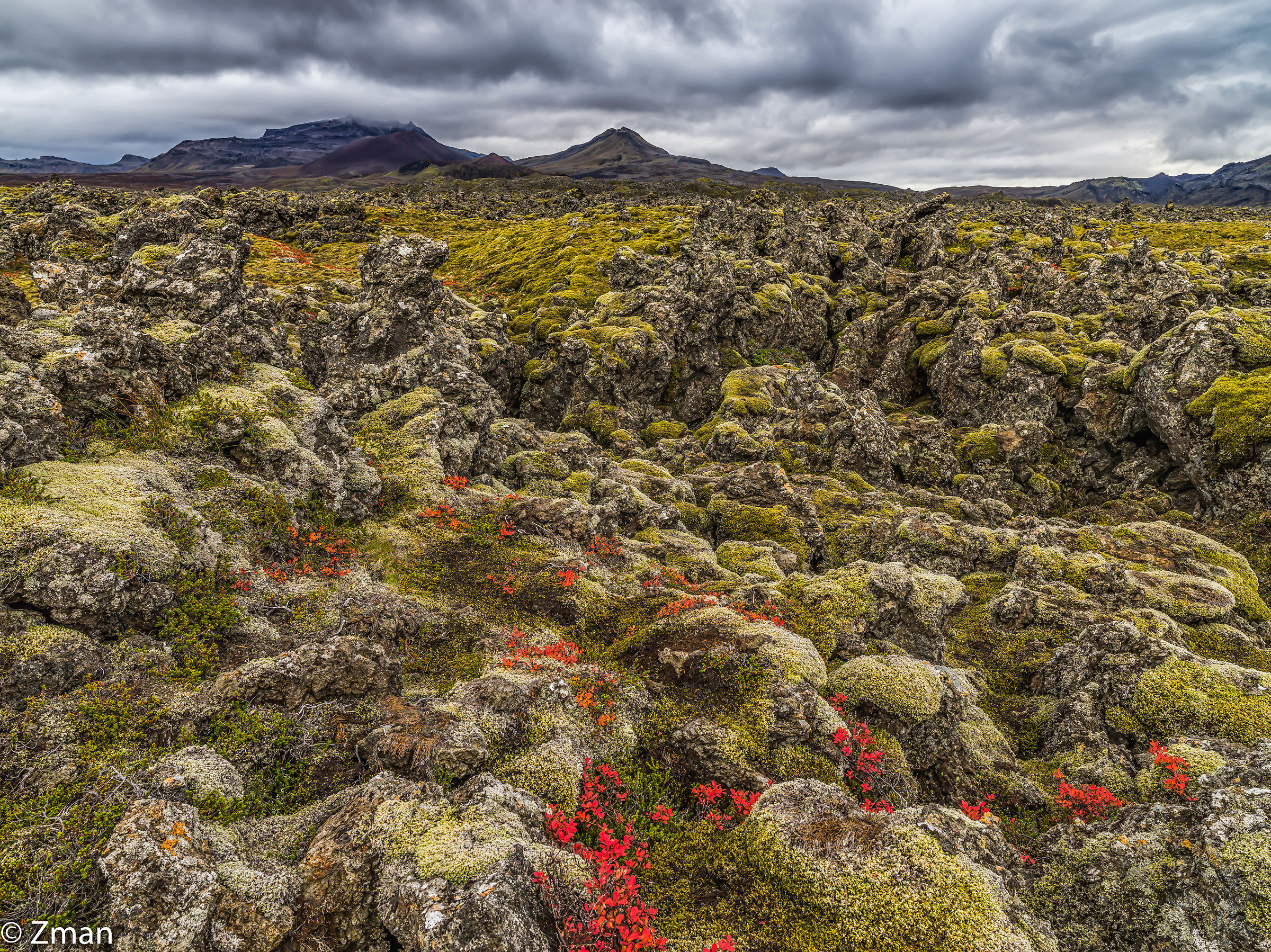 Lavafield di Snaefellsnes