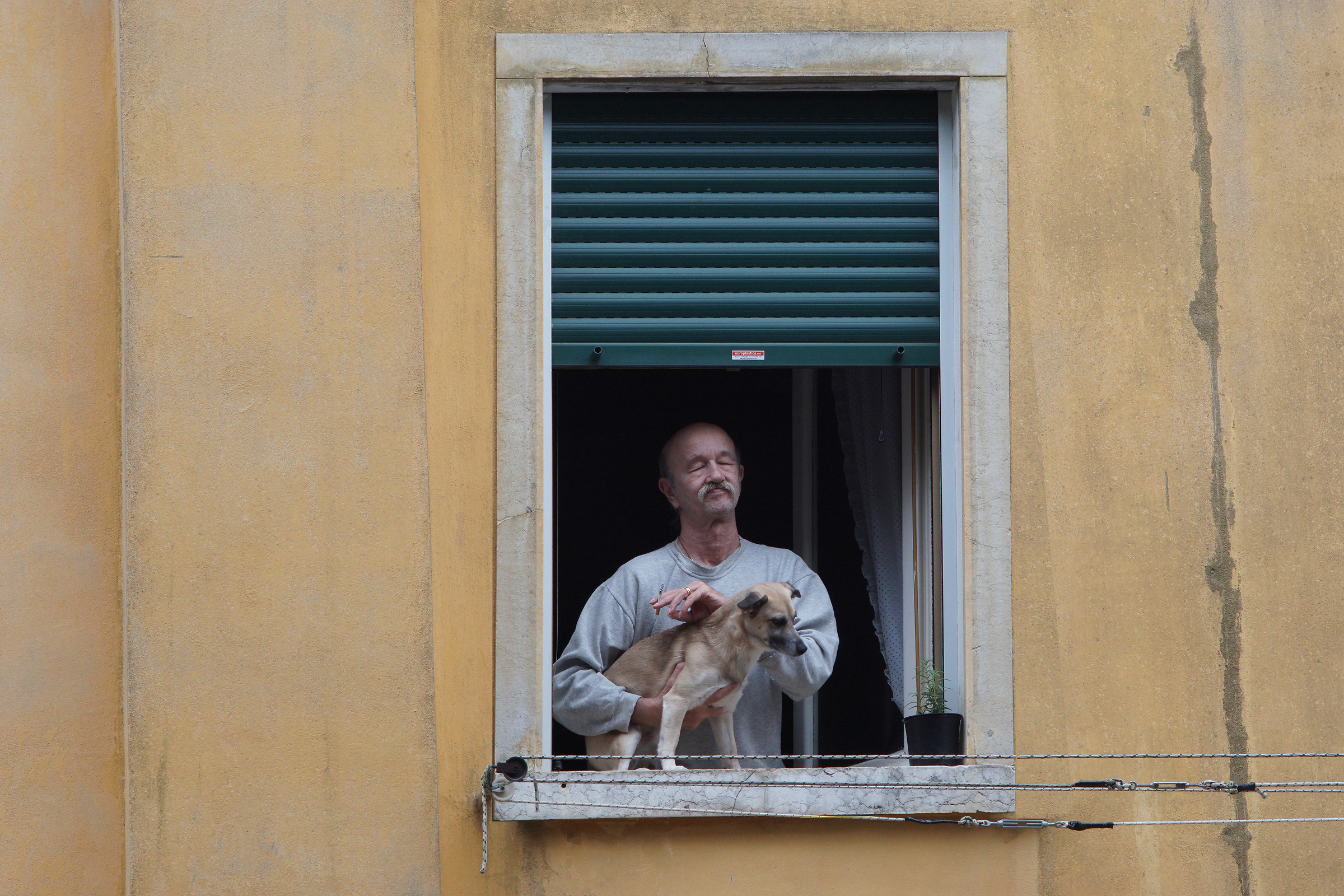 ladies with mustache and dog, smokes at the window