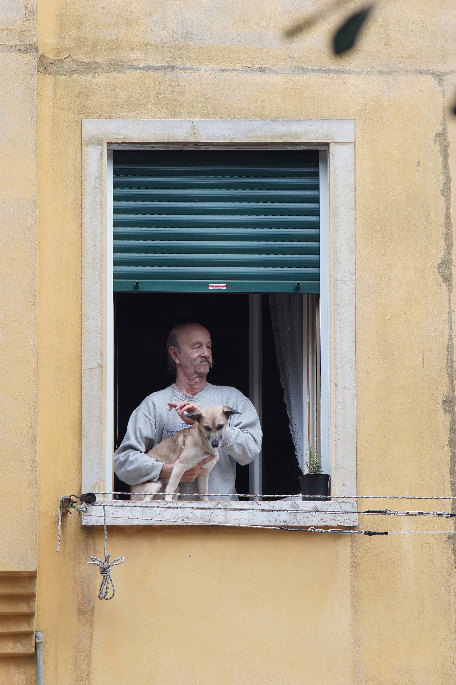ladies with mustache and dog, smoke at the window - 2