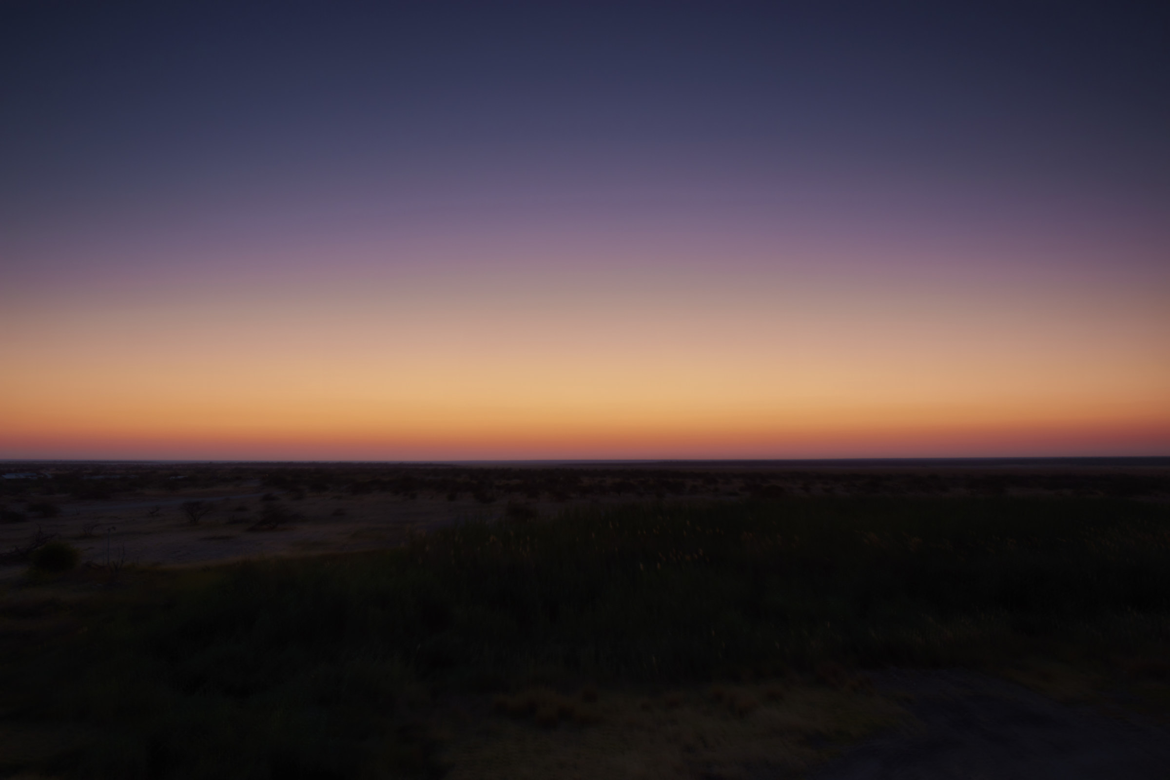 Tramonto nella savana