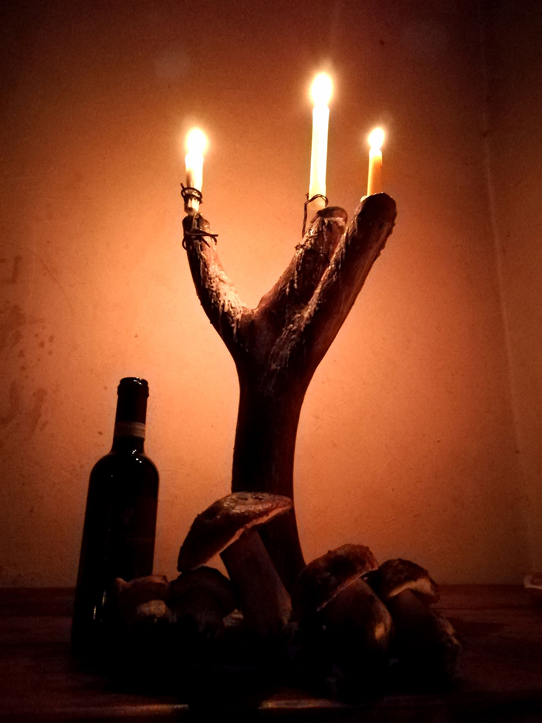 Night at the shelter