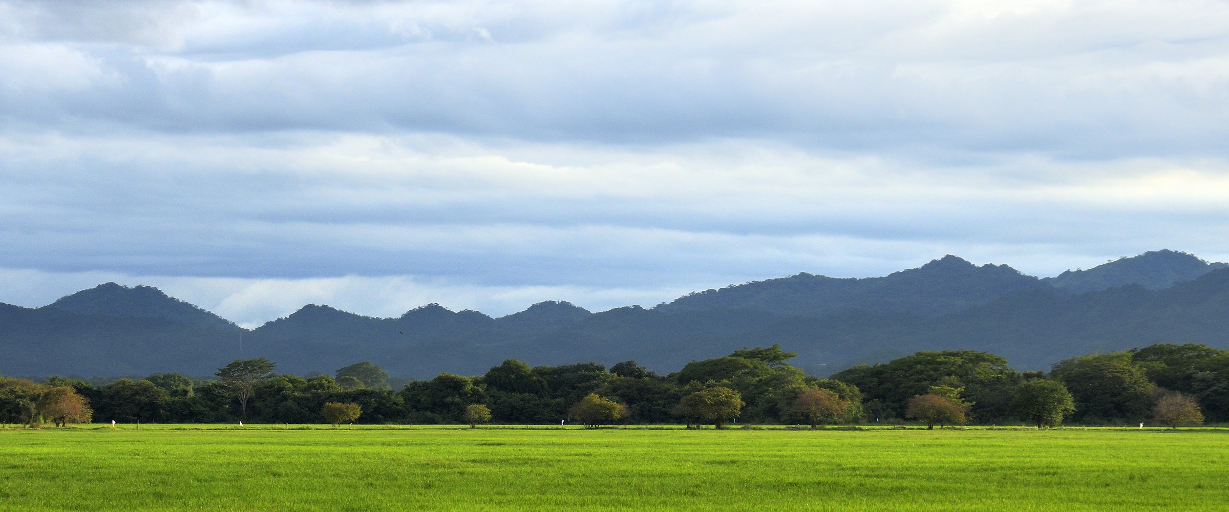 Countryside landscape