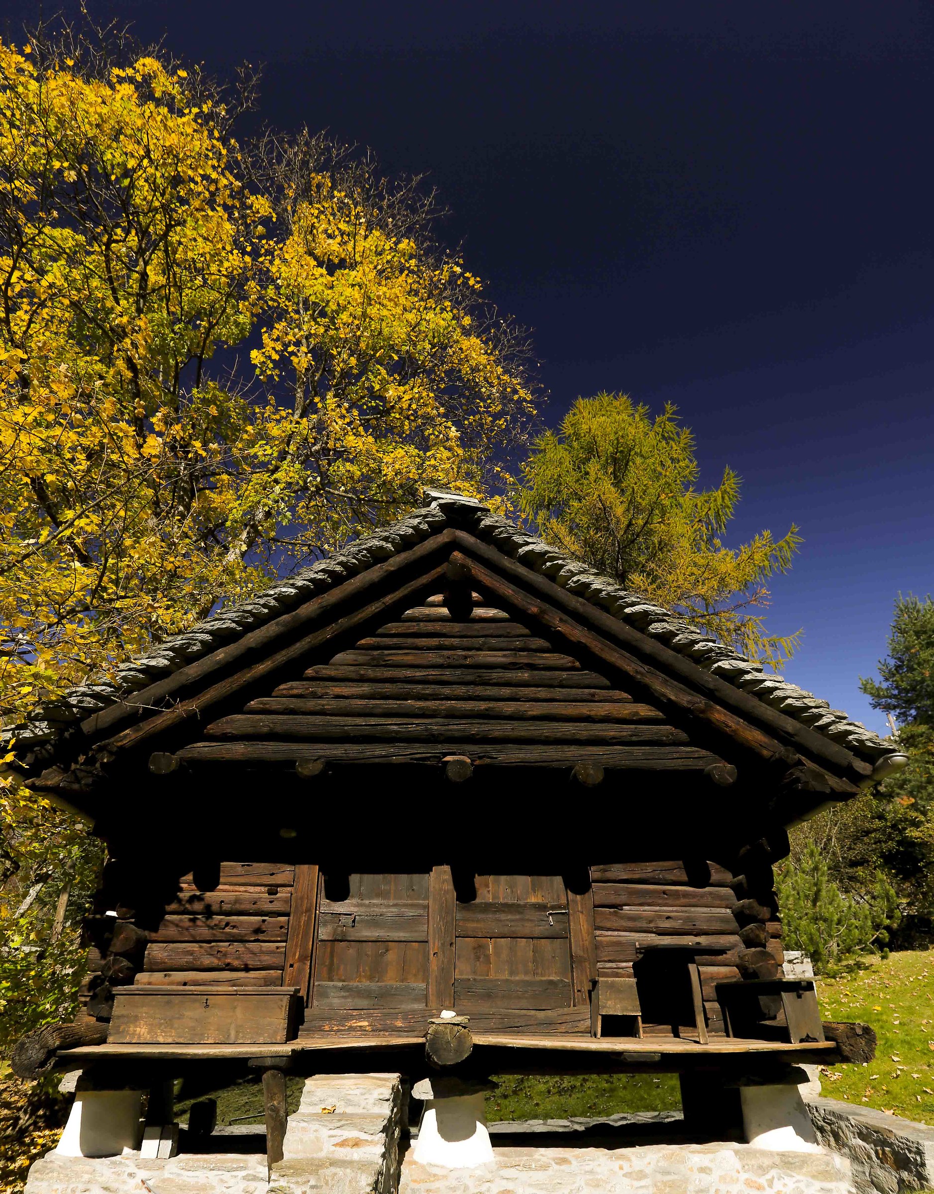 Rural house in Maggia Valley