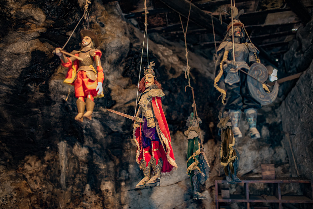 the rest of the pupa