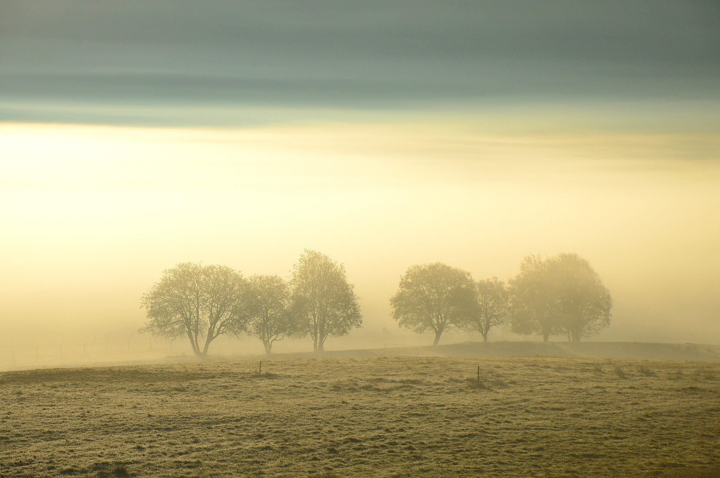 Magica nebbia del Cansiglio