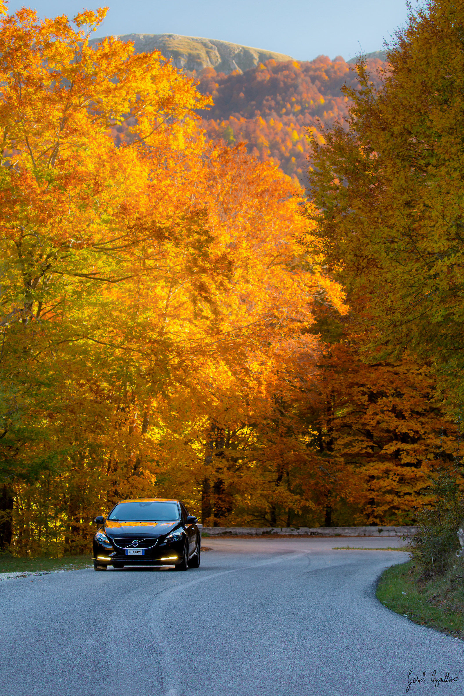 Magical mystery tour