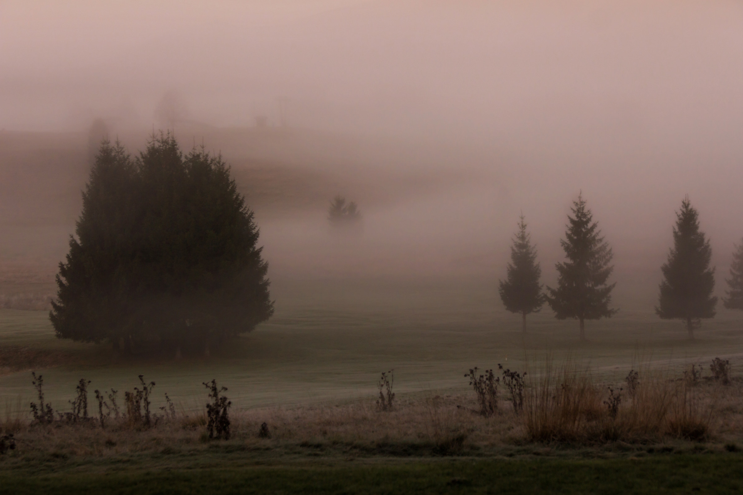 Piana del Cansiglio con nebbia