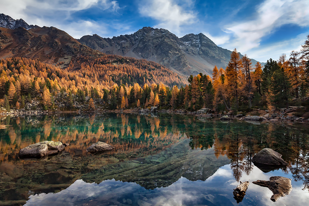 Alpine Autumn