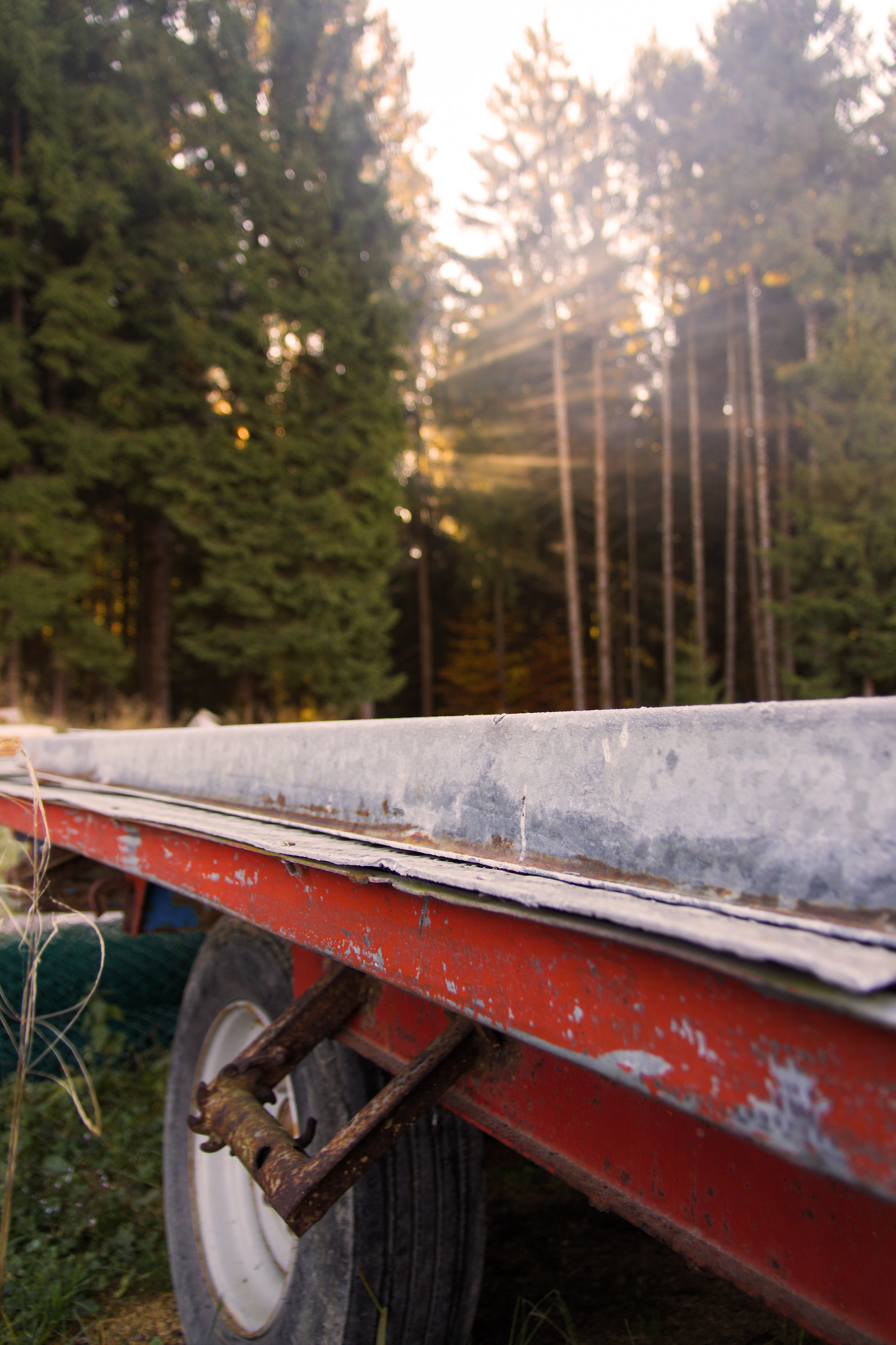 Sul retro (dettaglio)