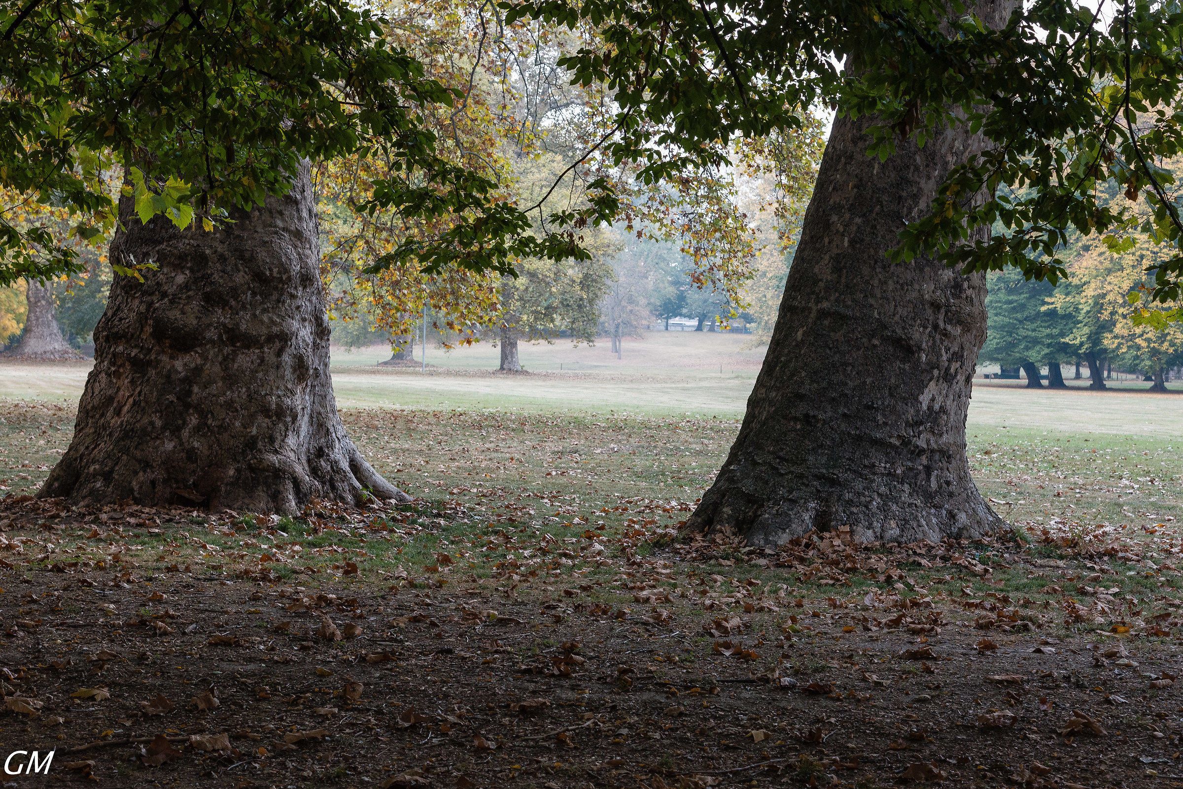 Parco Cavour - Santena
