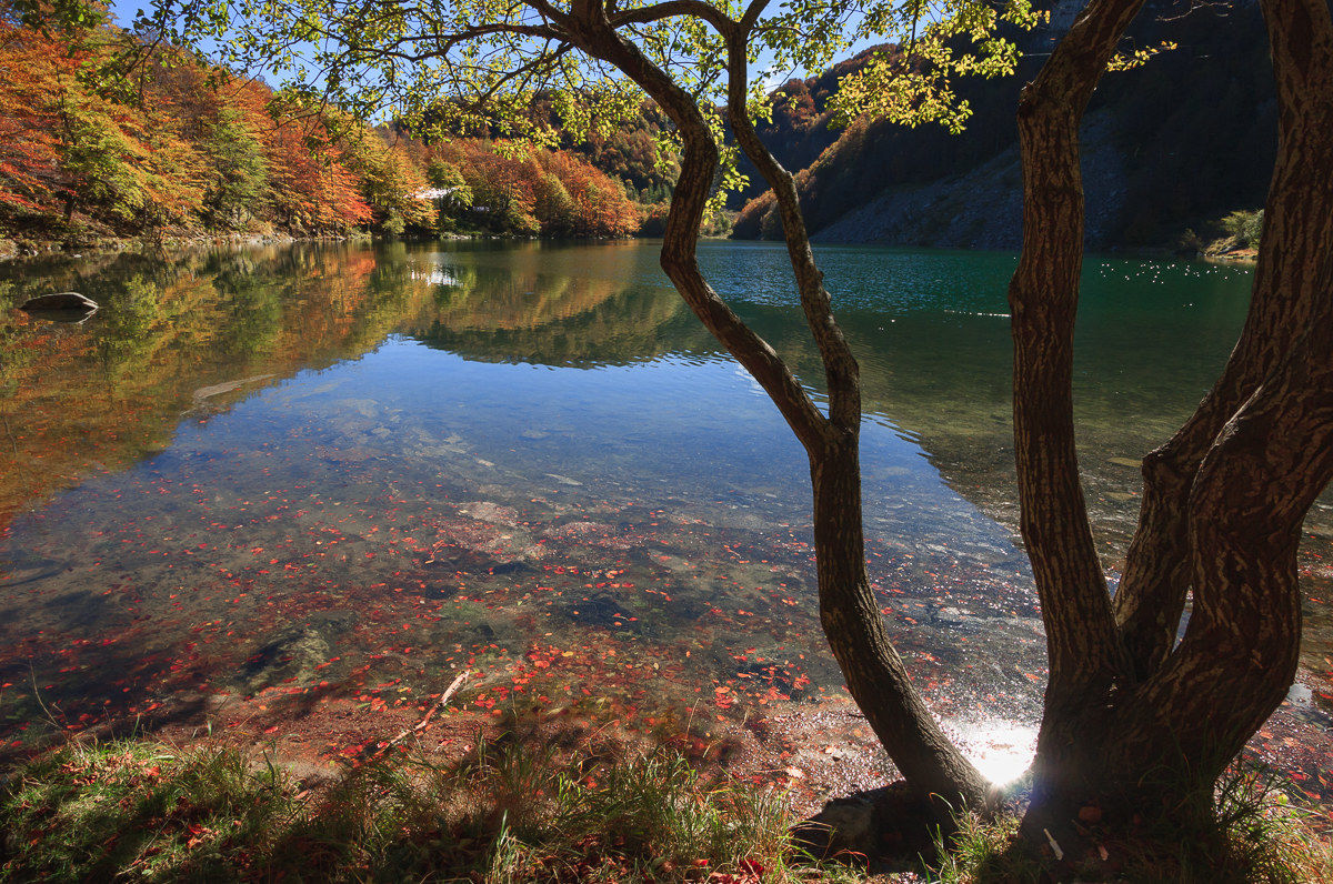 Glow on the lake ...