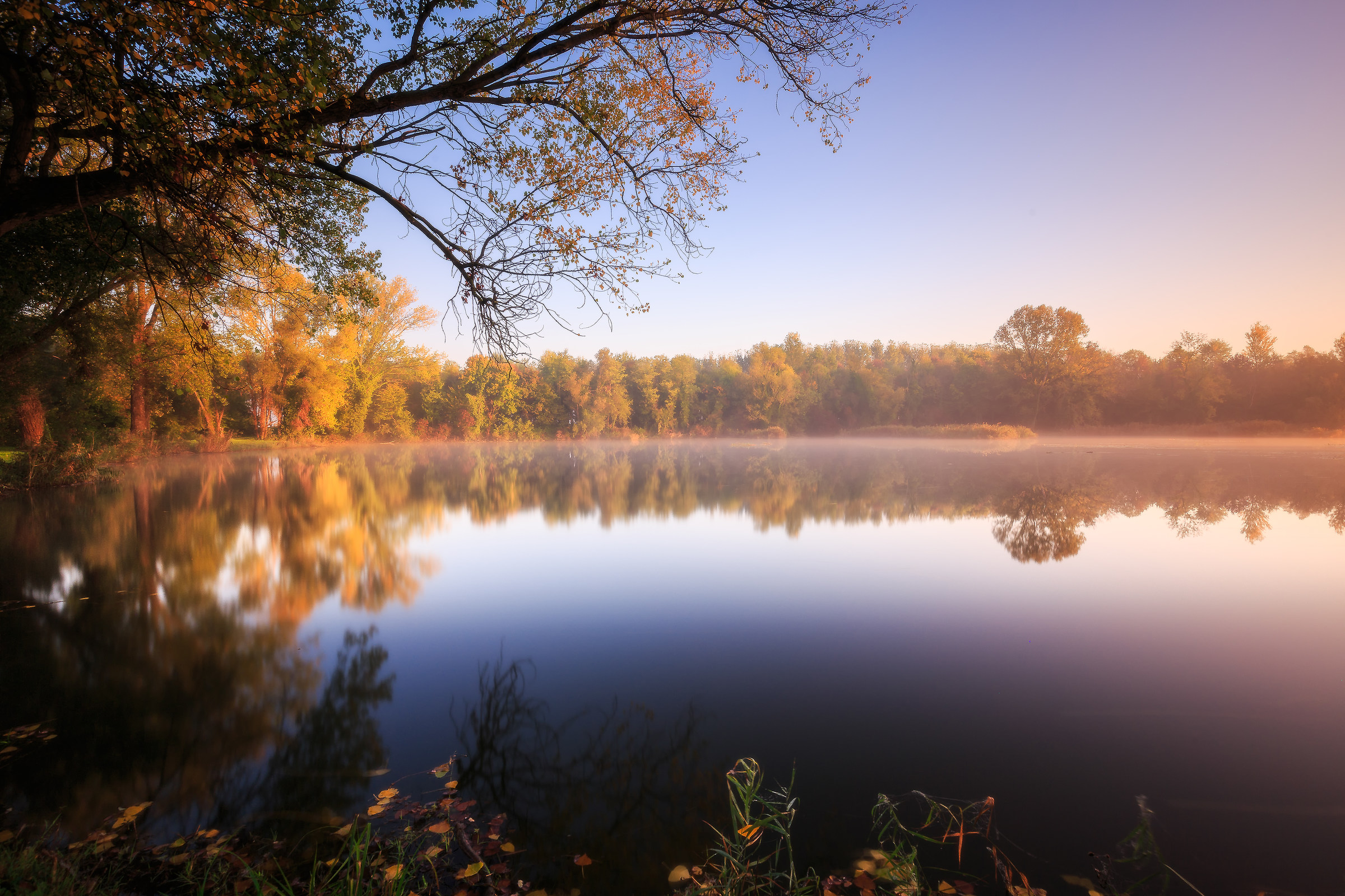 Reflection in the fog