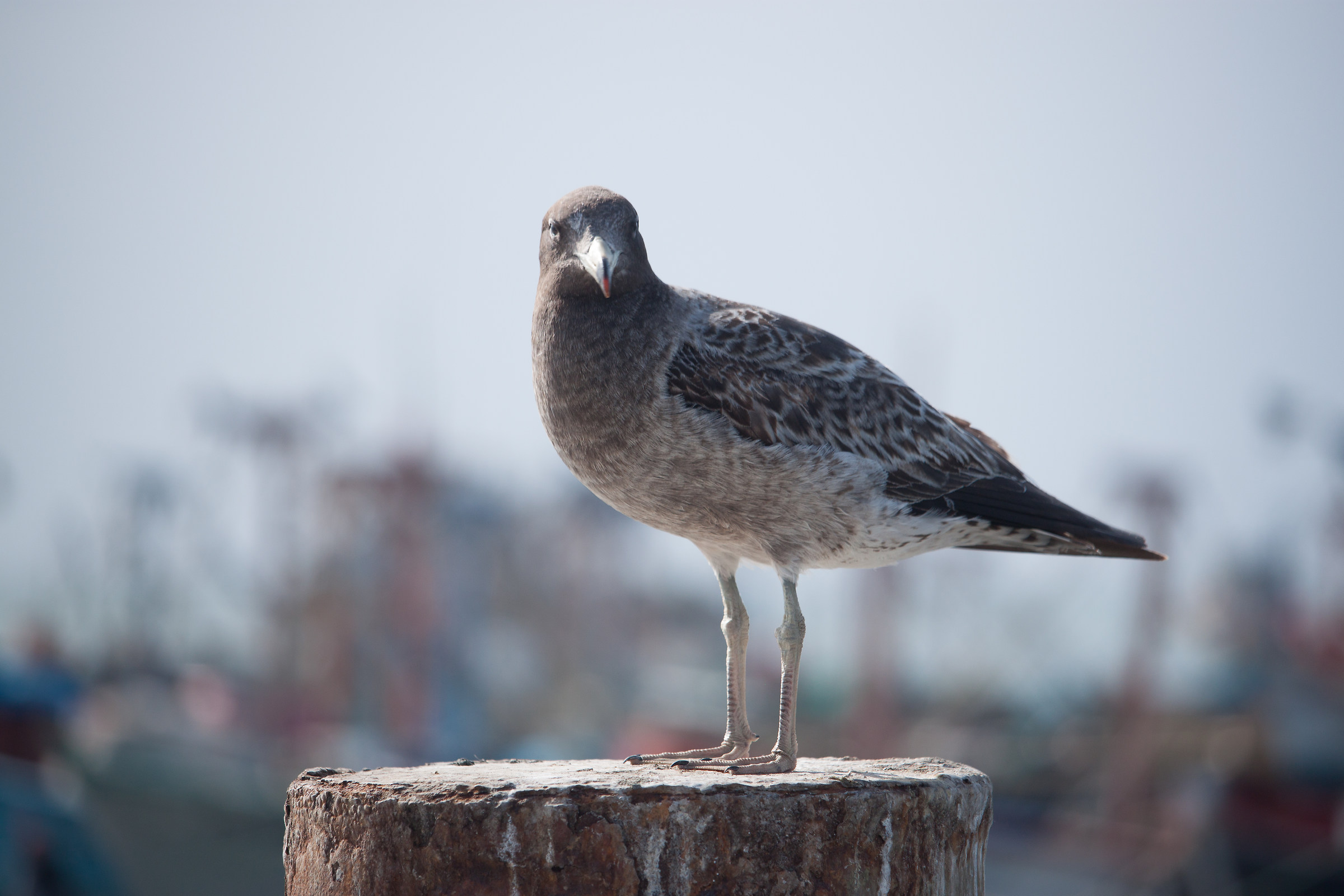 are you looking at me?