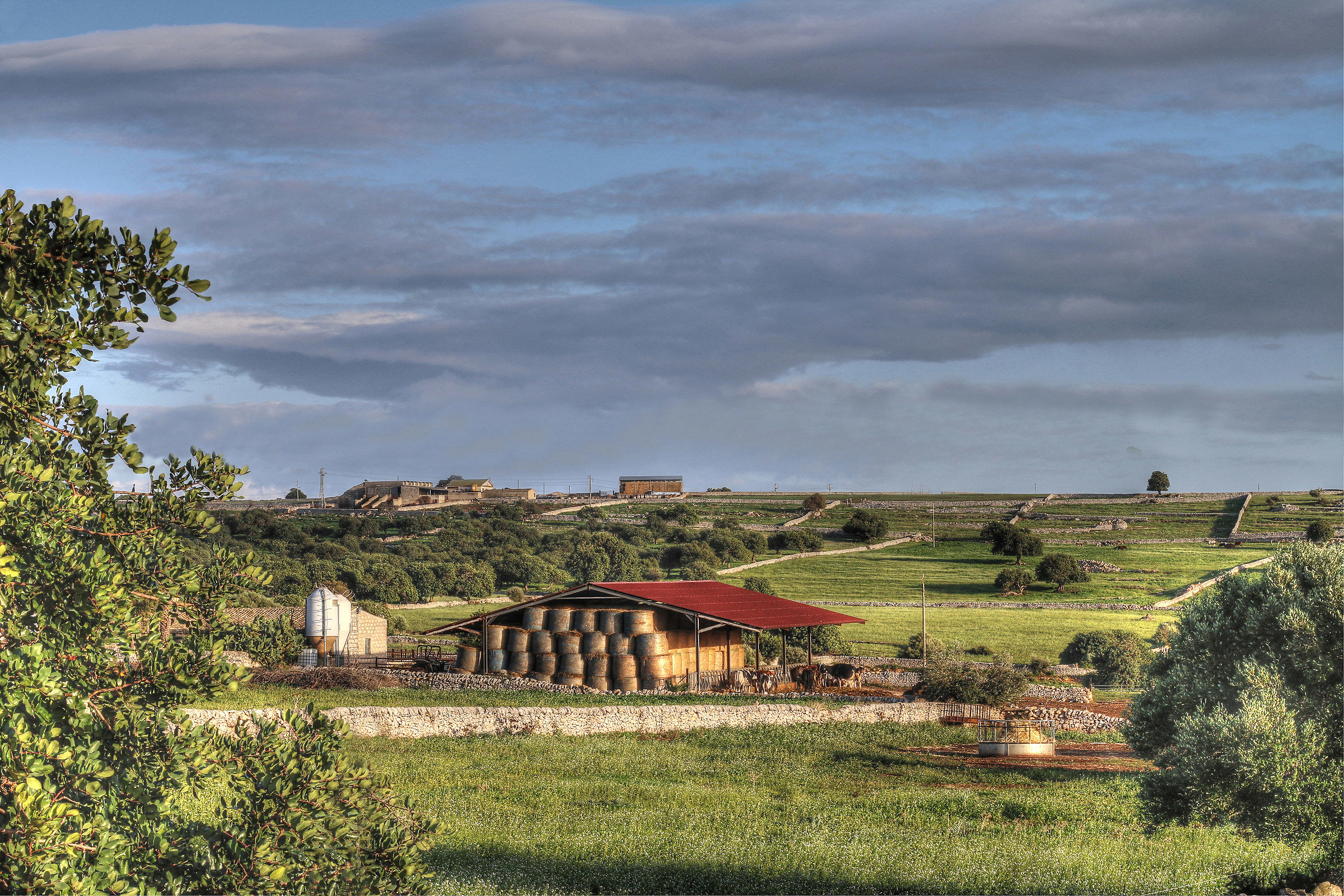 La campagna a ottobre