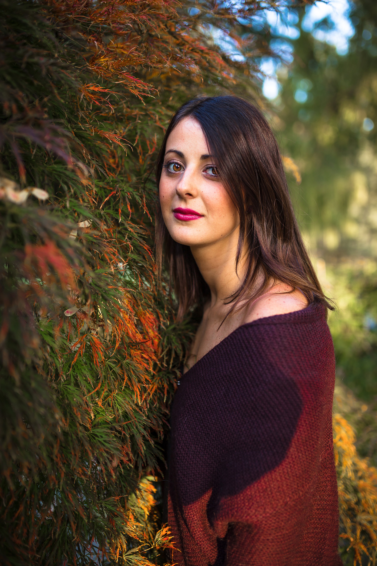 I colori dell'autunno