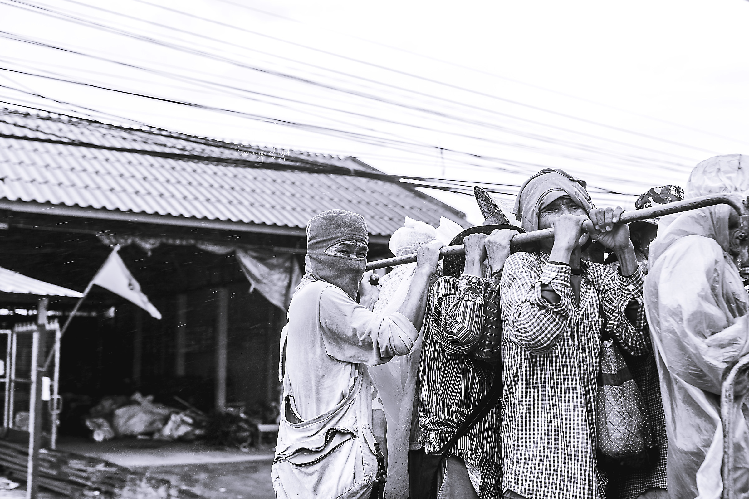 public transport in tailed