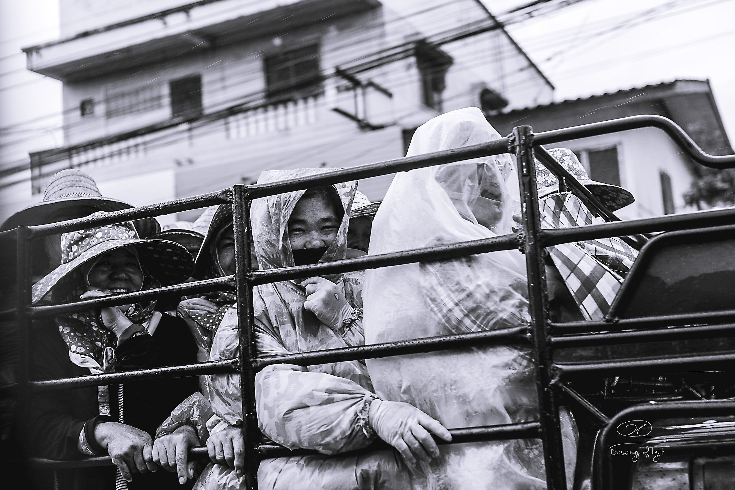 public transport in tailed