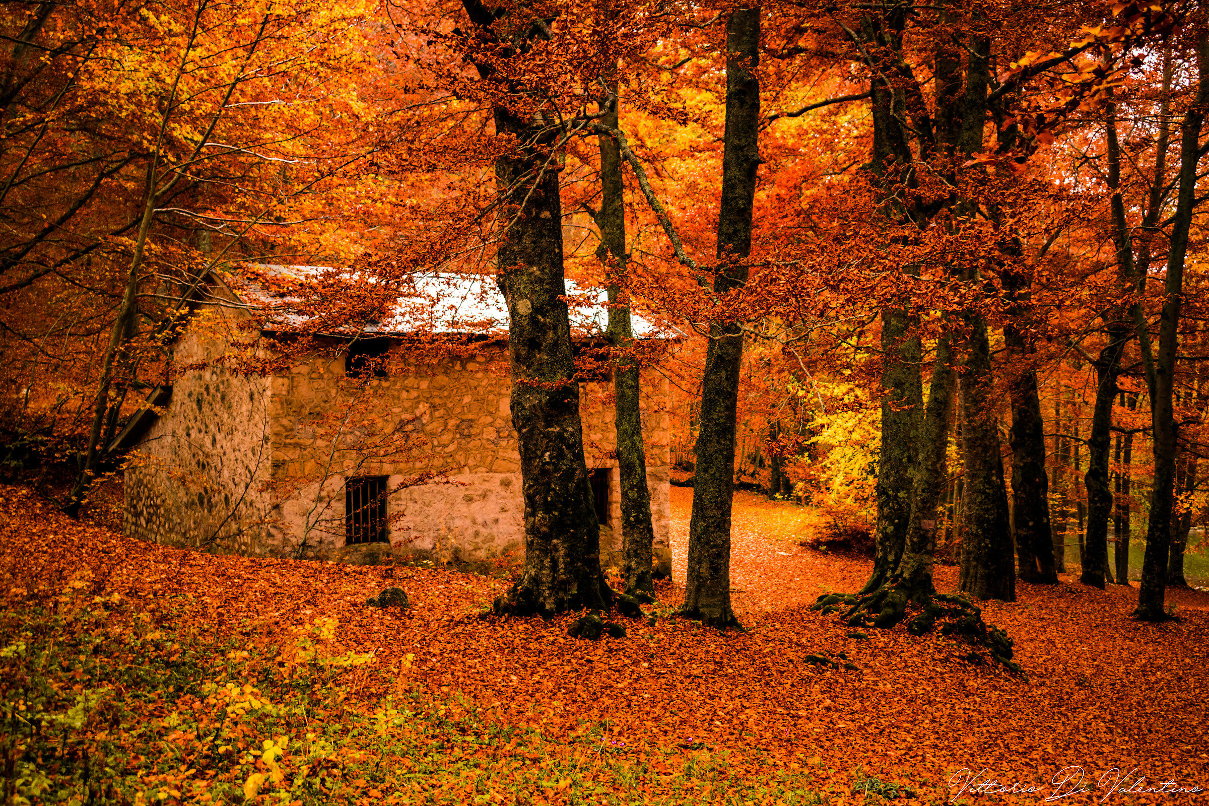 Il magico autunno a Fonte Romana (aq)