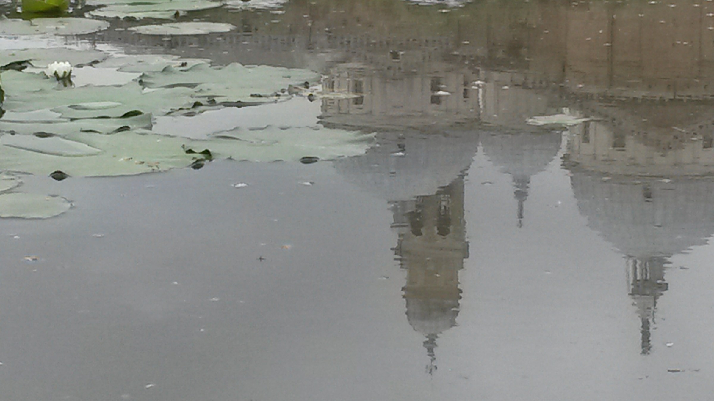 Padova - Guglie riflesse 2