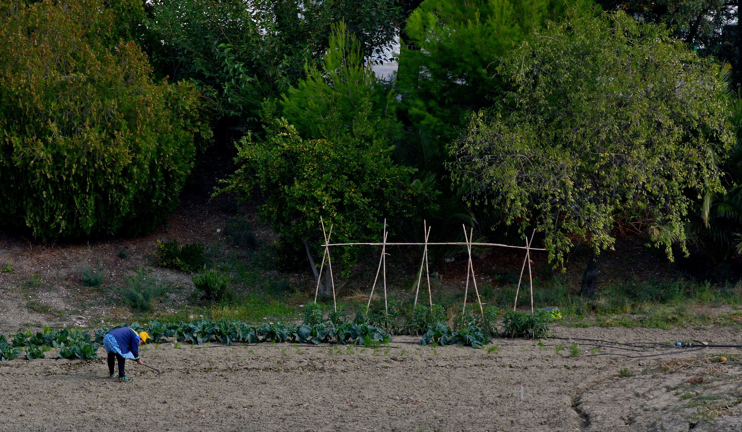 Someone Believes Us Still