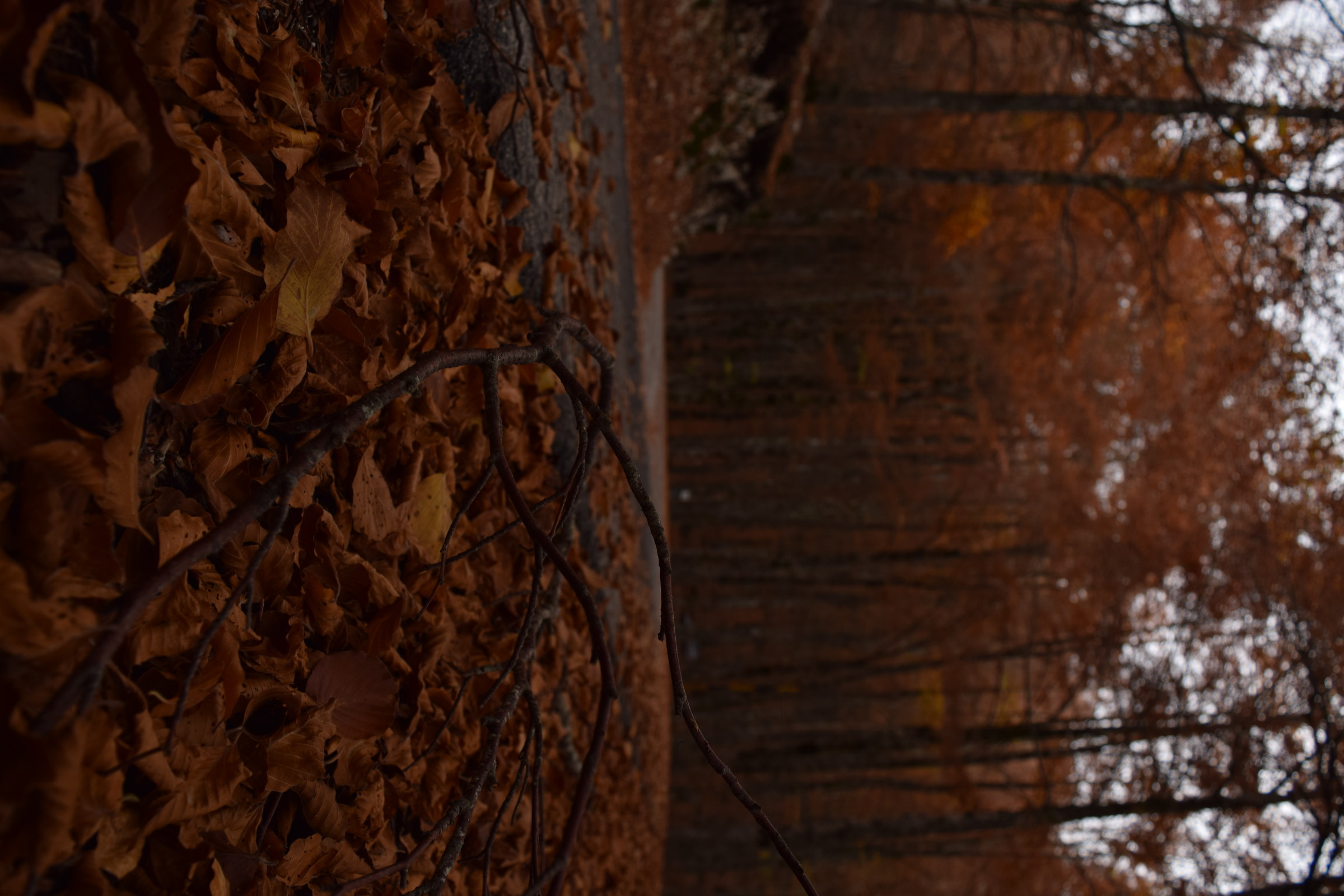 Abruzzo lazio national park and molise