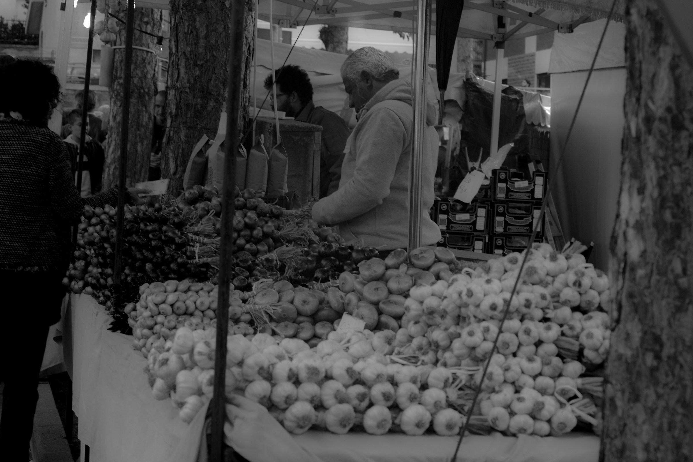 cipolle, aglio e cipollotti